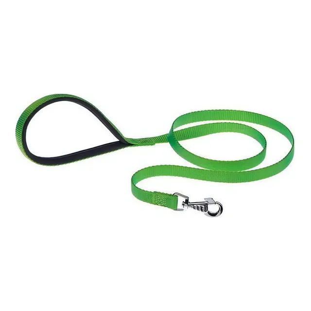 Guía antiabrasión de nailon Daytona para perros, G15/120, Ferplast, color verde