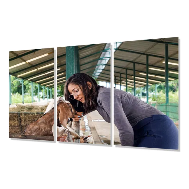 Cuadro Trip 80x120 Conejo Con Venda En Pata Veterinaria P8