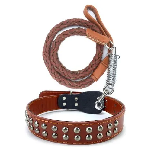 Correa Con Collar En Cuero Legitimo - M