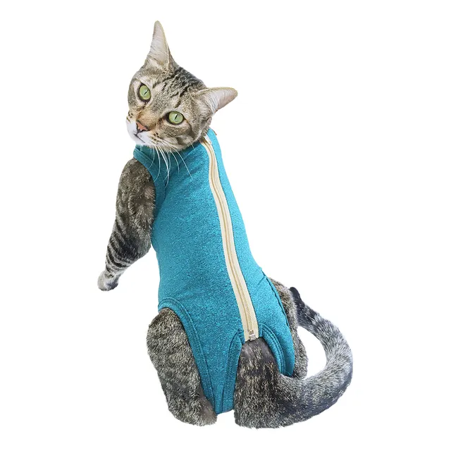 Combo Faja Post Operatoria De Gato Med Y Champú Clorhexidina