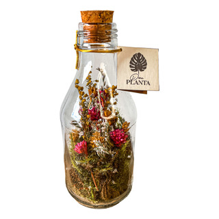 Kit 3 Jardim Preservado Flores Secas Garrafa Vidro Especial Kit 3 Jardim Preservado Flores Secas Garrafa Vidro Especial