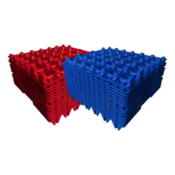 Cubeta Para Huevos X 40 Unidades