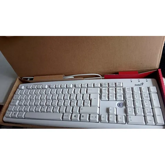 Teclado Genius Kb-06xe Blanco Ps2