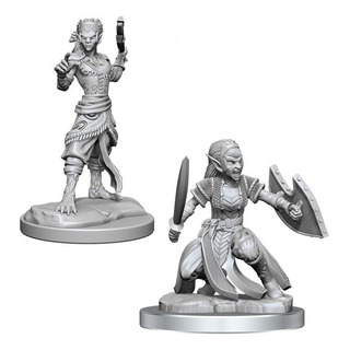 D&d Nolzurs Marvelous Miniatures Shifter Fighter Female D&d Nolzurs Marvelous Miniatures Shifter Fighter Female