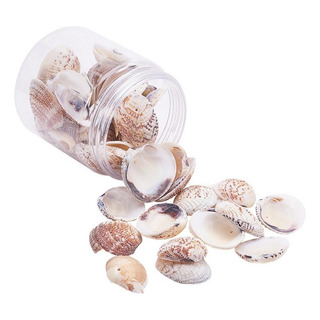 .. 50 Piezas De Concha De Playa Natural For Joyas De .. 50 Piezas De Concha De Playa Natural For Joyas De