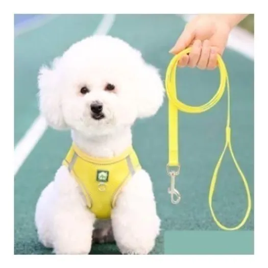 Pechera Para Perro Con Trailla Sencilla