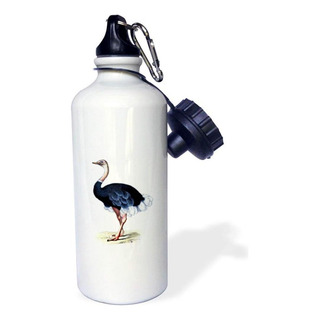 3drose Botella De Agua Deportiva Con Imagen De Avestruz Vint 3drose Botella De Agua Deportiva Con Imagen De Avestruz Vint