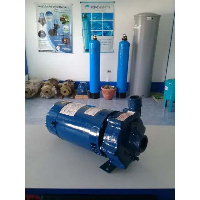 Bomba De Agua 1 Hp Bombagua 110/220v