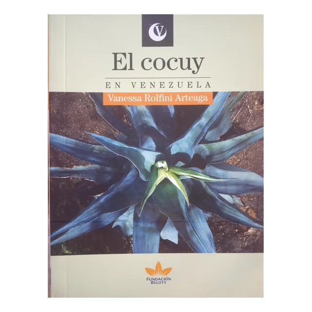 El Cocuy En Venezuela / Venessa Rolfini Arteaga
