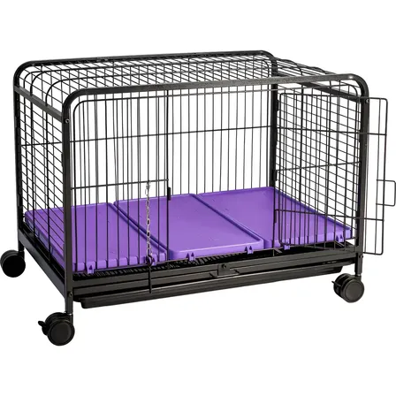Gaiola Leva Pet Grande Gatos Coelhos Cachorros Peq Porte