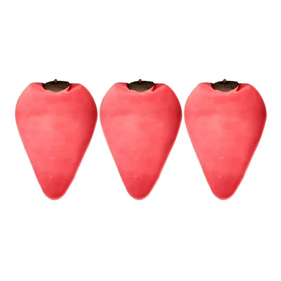 Set De 3 Camaras De Refaccion Con 1 Valvula  Pera Tablero