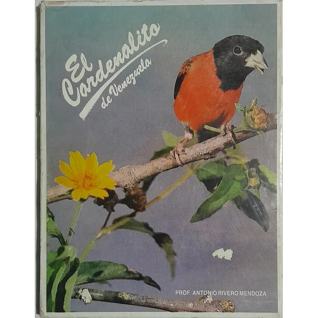 El Cardenalito De Venezuela - A. Rivero Mendoza