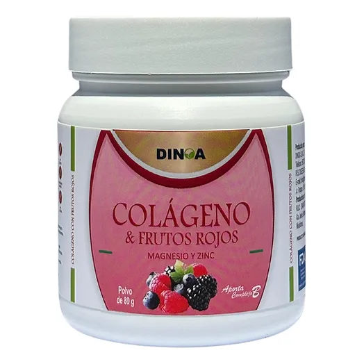 Dinoa Colágeno Hidrolizado & Frutos Rojos Polvo 80g