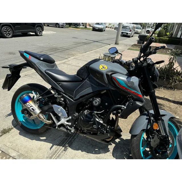 Mt03