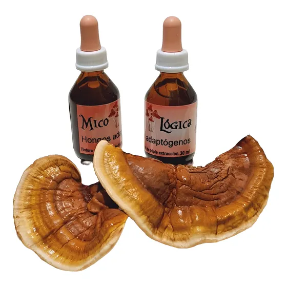 Tintura Madre De Reishi, Tremella Y Melena De León, Pack X3. Original