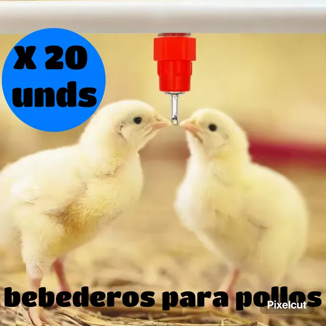 Bebederos Tipo Niples Para Pollos. Gallinas. Codornices