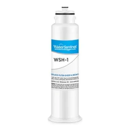 Filtro De Agua Watersentinel Wsh-1 Para Refrigeradores Hisen