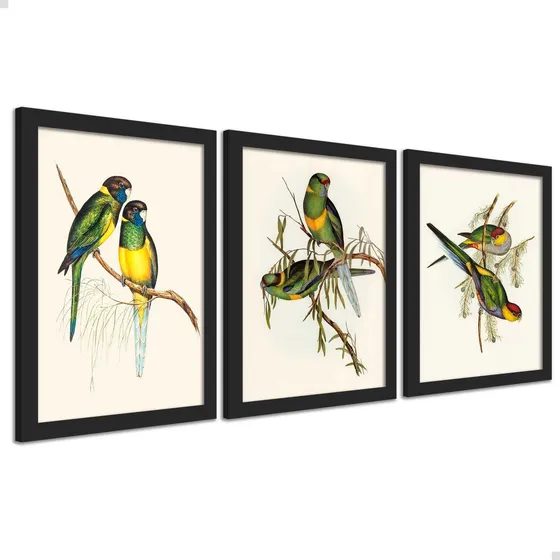 3 Quadros Decorativos 18x24cm Pássaros Sala Quarto Lavabo