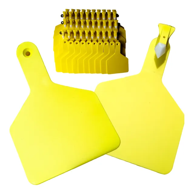 Aretes Tipo Z De Cria Grande Amarillo 