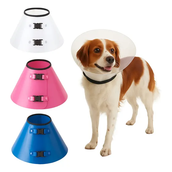 Colar Cirúrgico Para Cães Elizabetano Diversas Cores