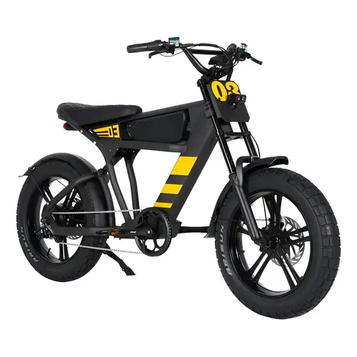 Bicicleta Elétrica 750w Aro 20 Freio Hidráulico 7v 48v S12 Cor