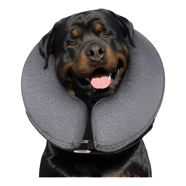 Collar Isabelino Inflable Perros Gatos. Talla Xl. Importado
