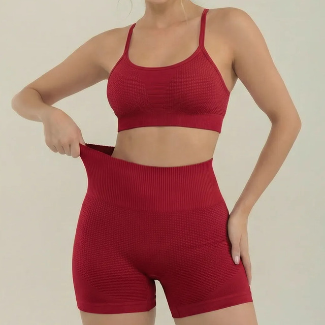Conjunto Feminino Academia Top E Shorts Poliamida Demillus