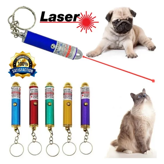 Llavero Con Puntero Laser Rojo Para Jugar Con Las Mascotas