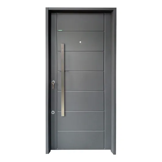 Puerta Doble Chapa Inyectada Exterior Cerrojo Seguridad 751
