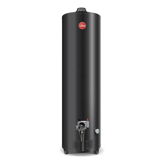 Termotanque Rheem Confort APG160LRH07 negro 160L