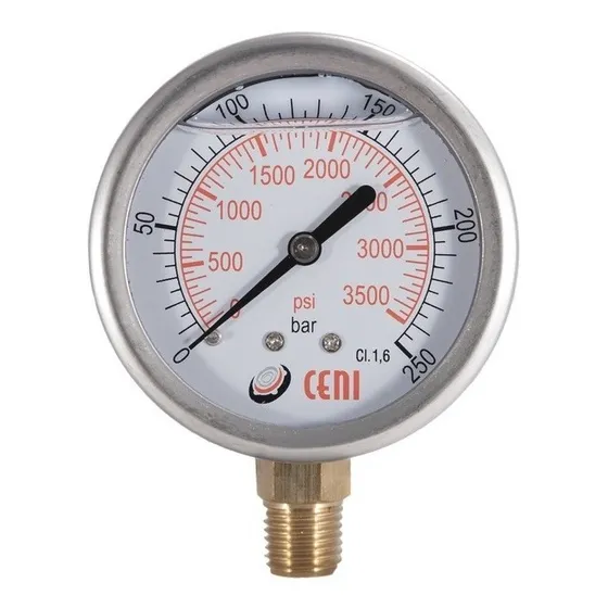 Manometro 63mm Inf 1/4 Npt Inox Con Glicerina 0-250 Bar/psi