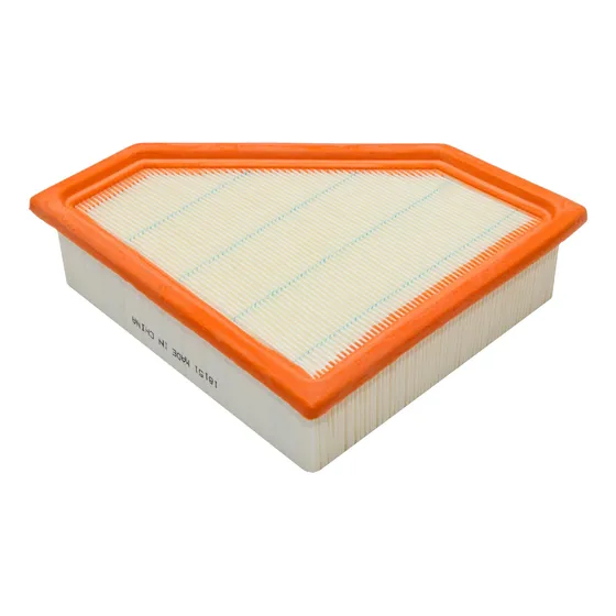 Filtro De Aire Para Ford Focus 2.0 2008, 2009 Omniparts