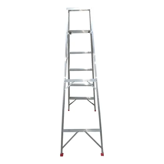 Escalera De 6 Tramos. Marca Aladino.