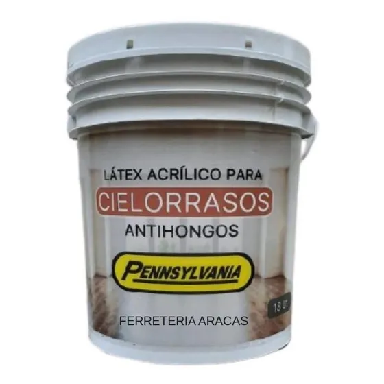 Cielo Rasos Antihongo 18lt
