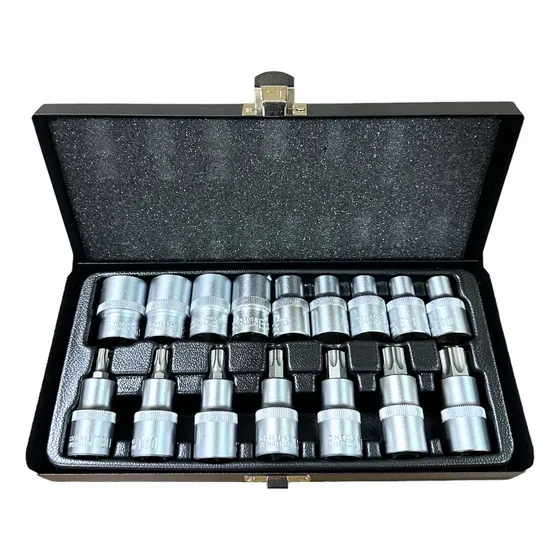 Juego 16 Dados Torx Hembra Macho Cuadrante 1/2