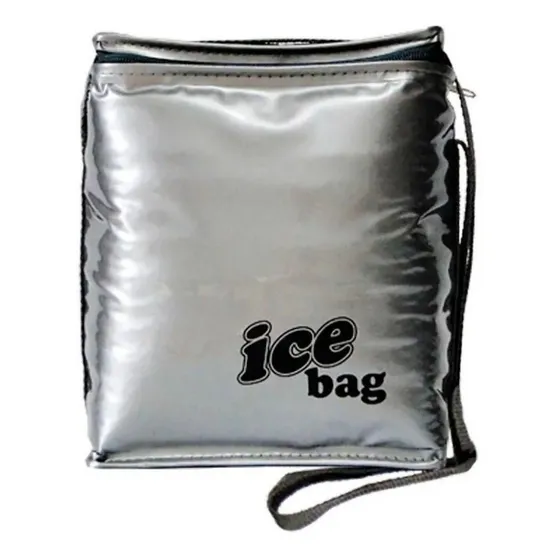 Bolsa Térmica Ct Bag Freezer Semi 5 Litros Prata Cotermico