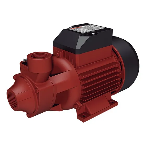 Bomba De Água Periférica 127/220V Bpl- 50 1cv Lorenzetti