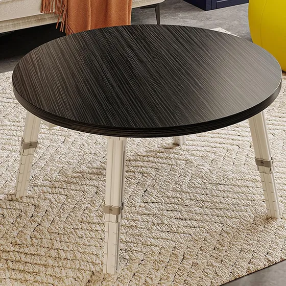 Mesa Plegable Ratona Para Living Jardín Regulable 60cm