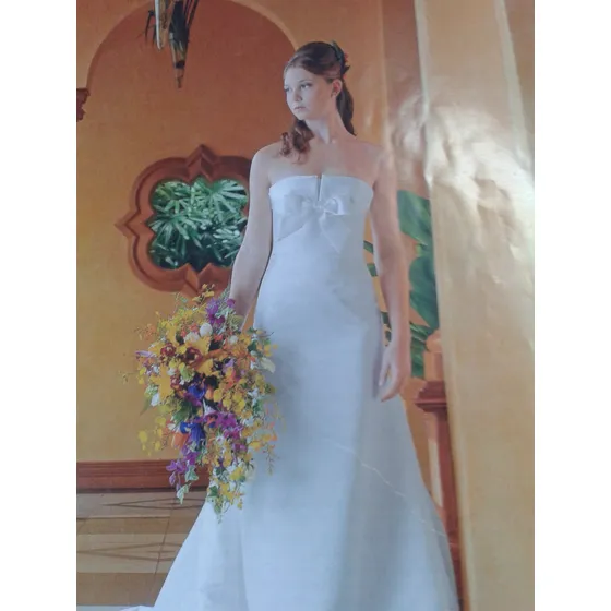 Vestido Novia Blanco Con Piedras Decorativas