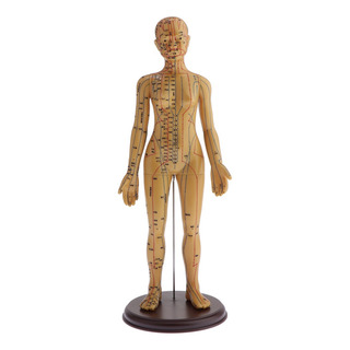 Modelo De Acupuntura Y Meridiano Del Cuerpo Humano Modelo De Acupuntura Y Meridiano Del Cuerpo Humano