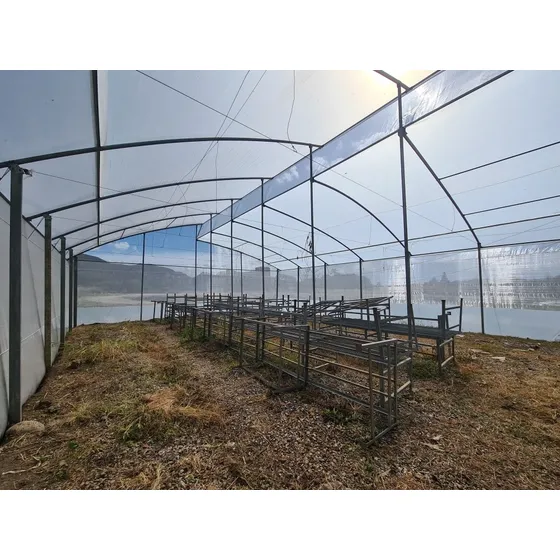 Plástico Para Invernadero Agroclear 