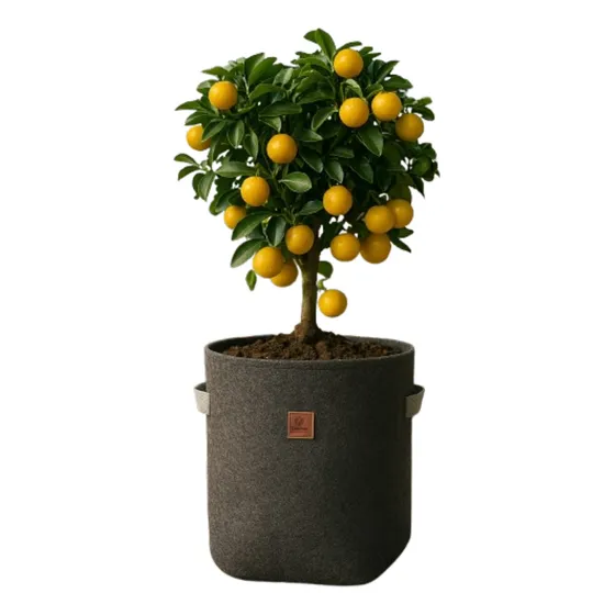 Maceta Grande Tela Geotextil 60 L Huerta Reforzada Cetrino