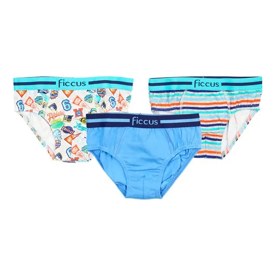 Slip Transversal Multicolor Ficcus