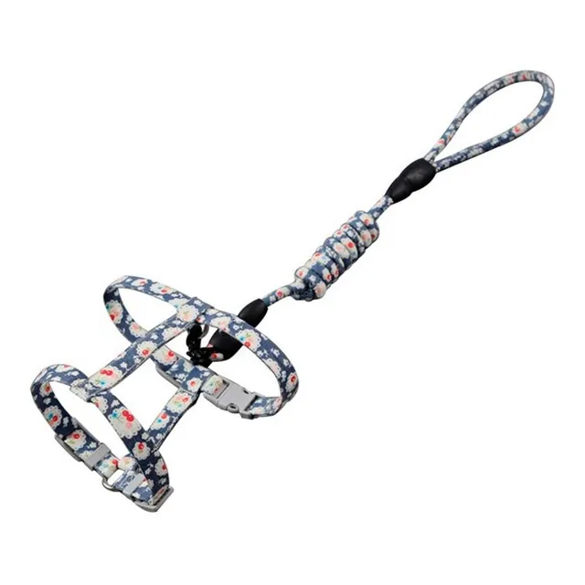 Arnes Ajustable Estampado + Correa Mascotas Perros Y Gatos