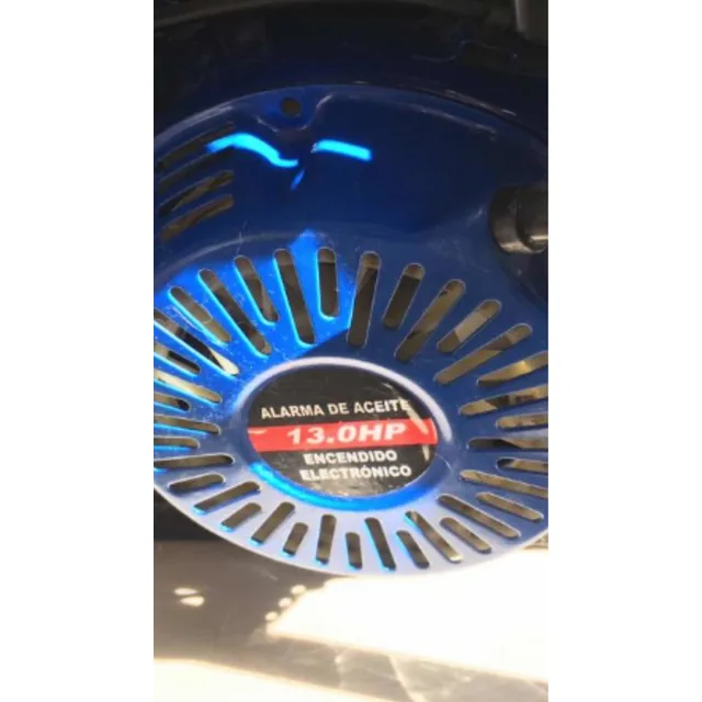 Planta Eléctrica True Power 13.0 Hp