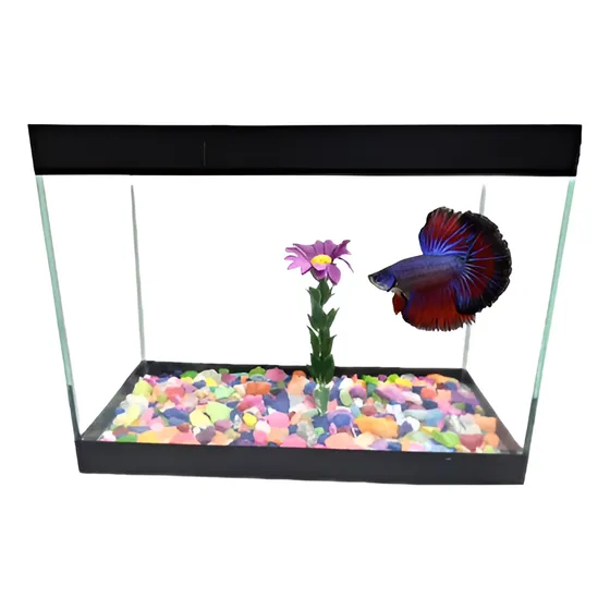 Aquário 20x10x15 3litros Decorado N°1 Para Peixe Betta