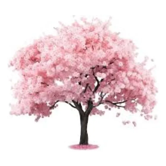 Cerezo Sakura Japones - Excelente - Vivero Hab.x Senasa