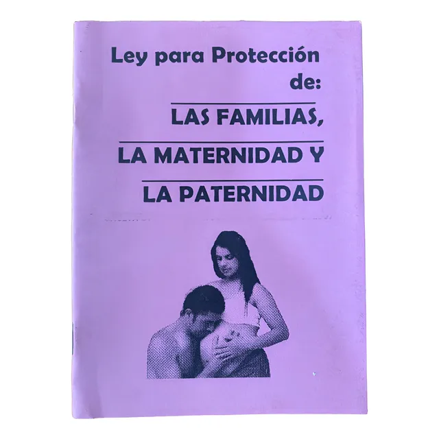 Ley Para La Protección De Familia Maternidad Y Paternidad