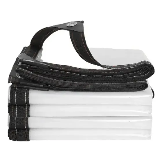Lona Impermeable Transparente 2x3 Con Ojetillos Sregalito