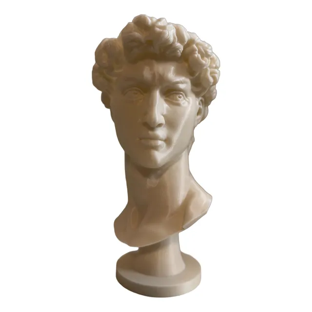 Maceta Decorativa Escultura David Suculentas - 20 Cm De Alto